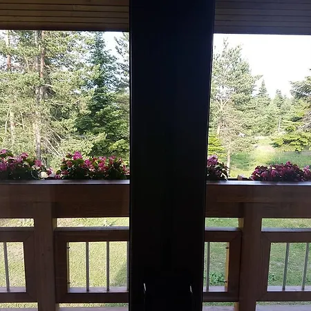 Horse Riding Club Pirin منتجع رازلوغ